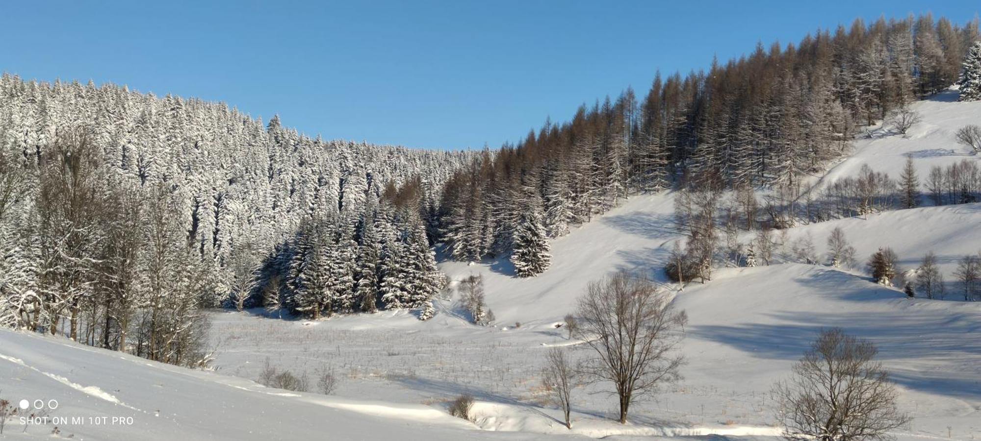 Holiday Home Moldava Екстер'єр фото