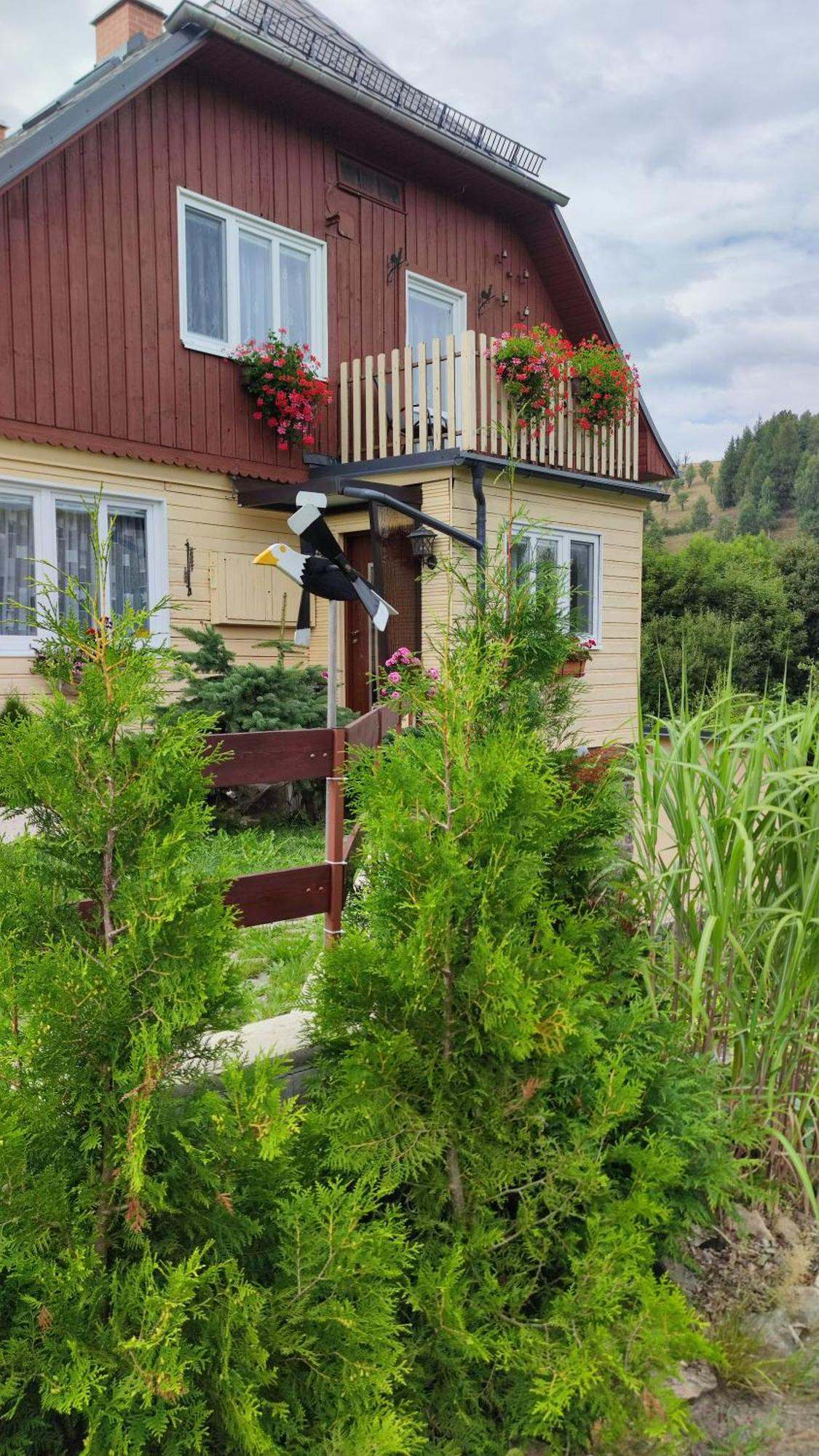 Holiday Home Moldava Екстер'єр фото